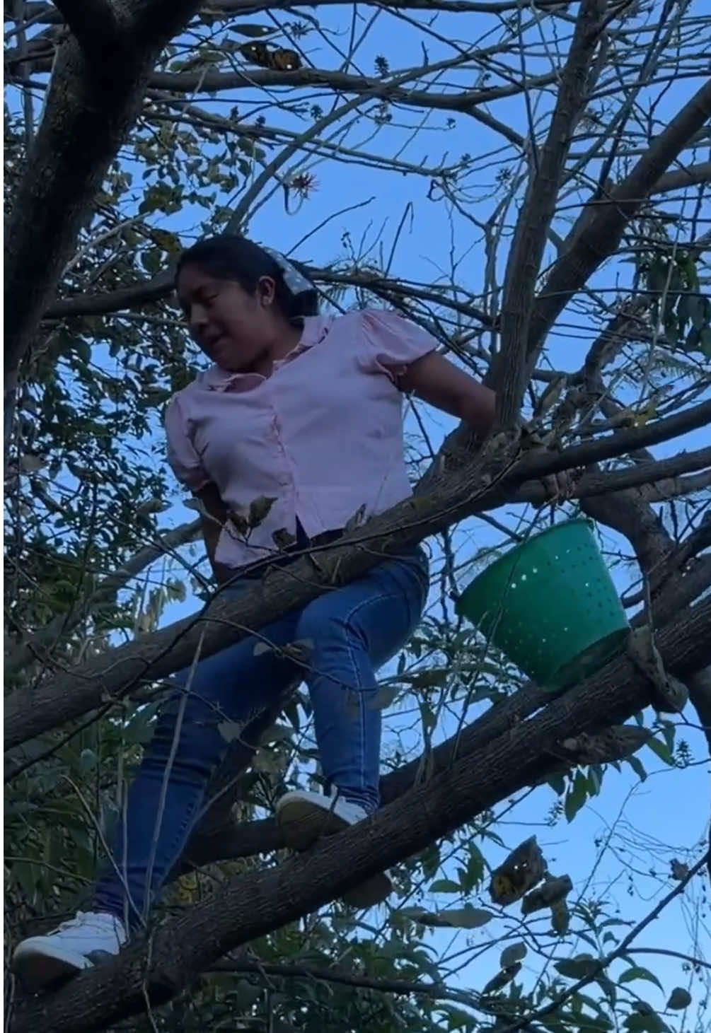 @Las Curiosidades de mam&aacute;
