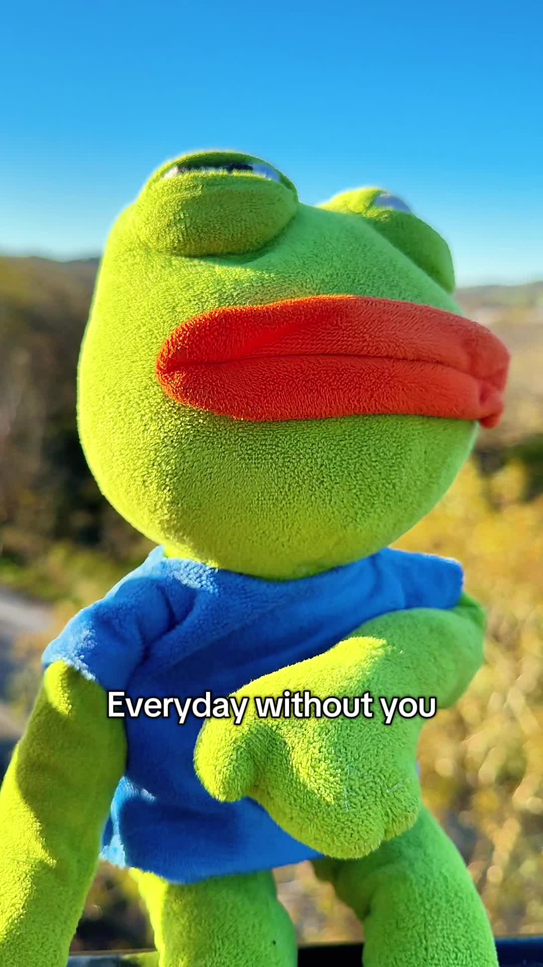 @AdoptAPepe