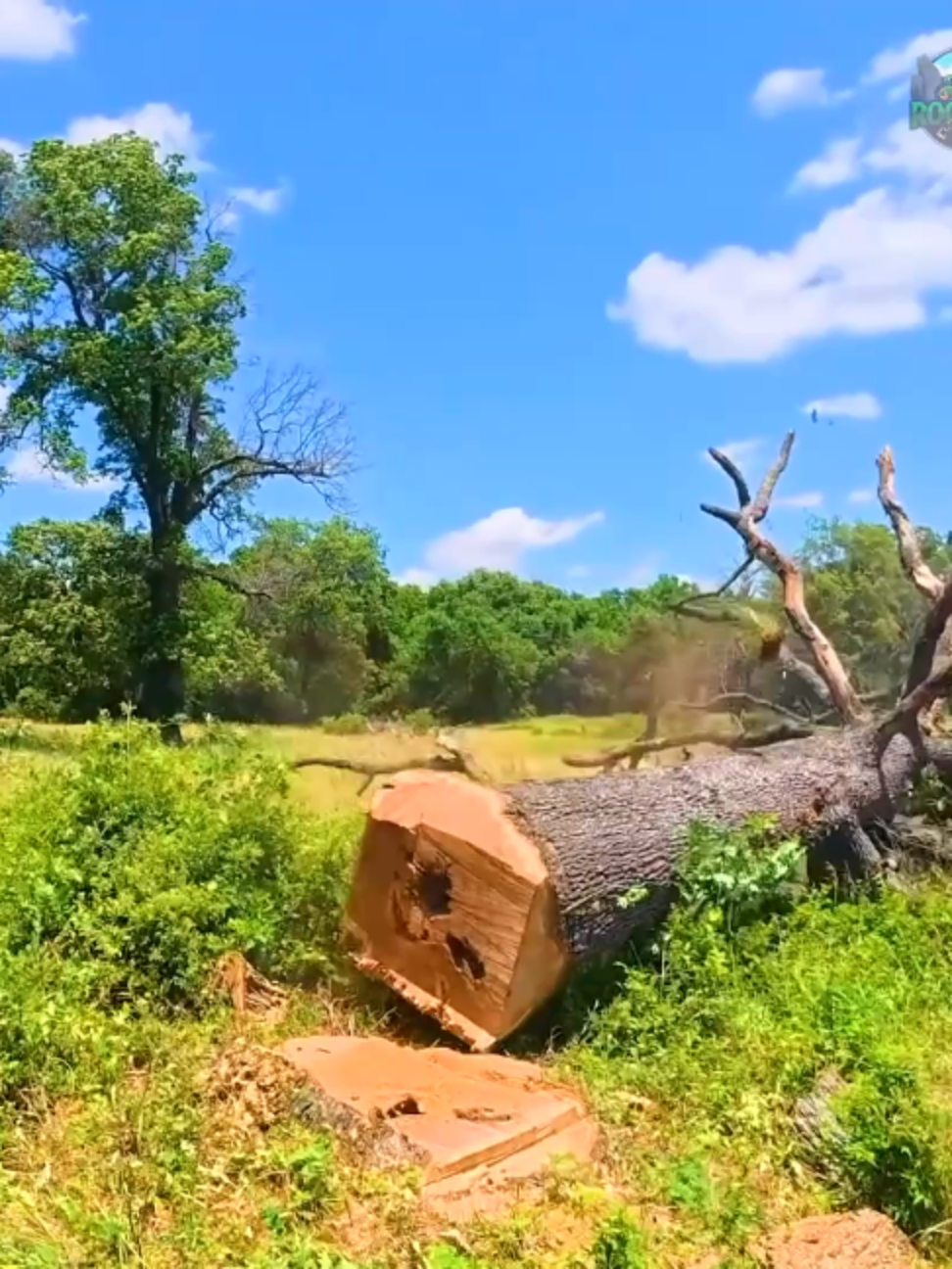 @Rockhill Farm YouTube