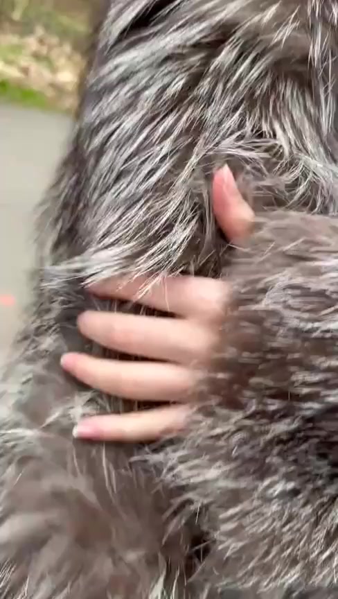 @Fur coat fans