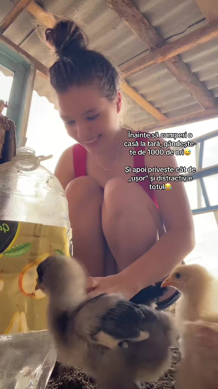 @barbara_dk_