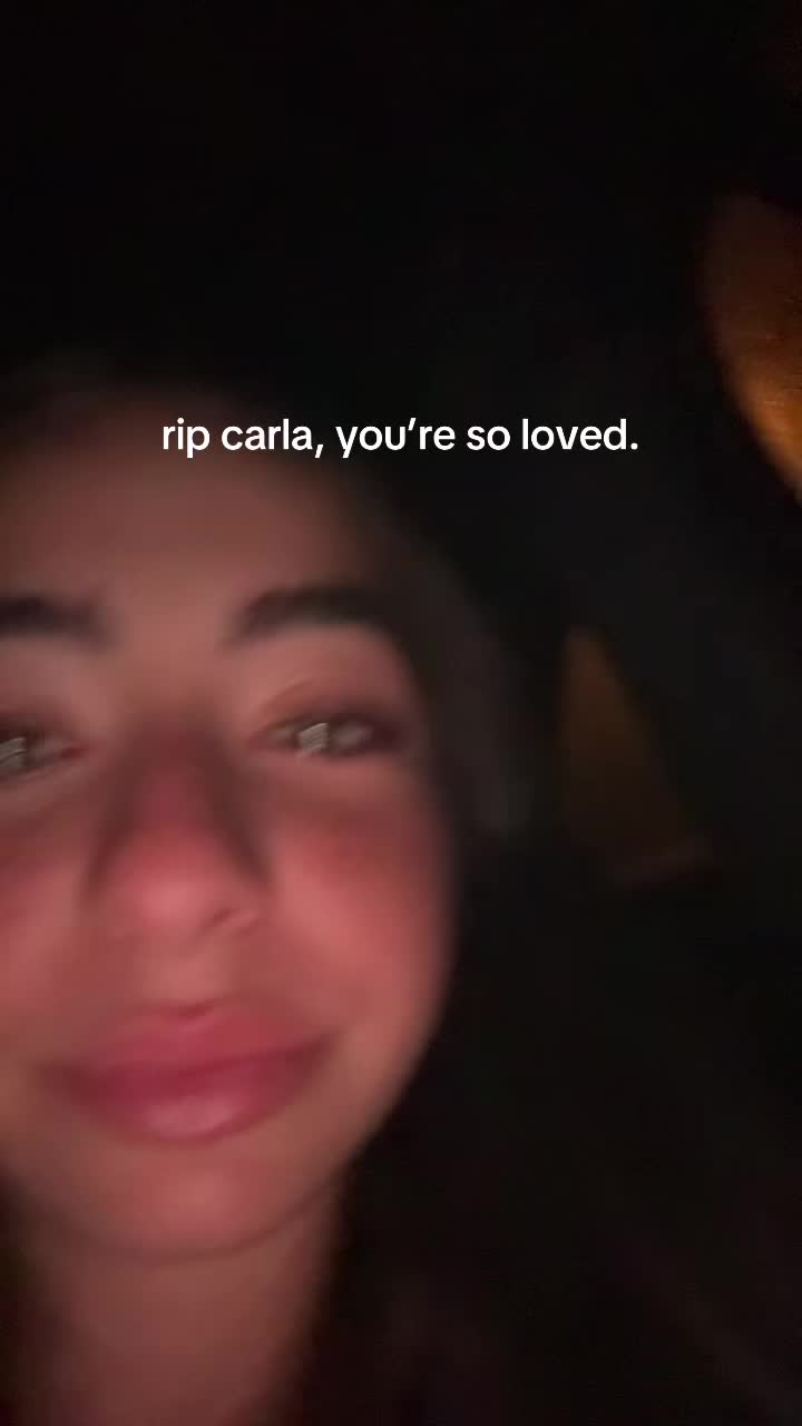 @fern ౨ৎ