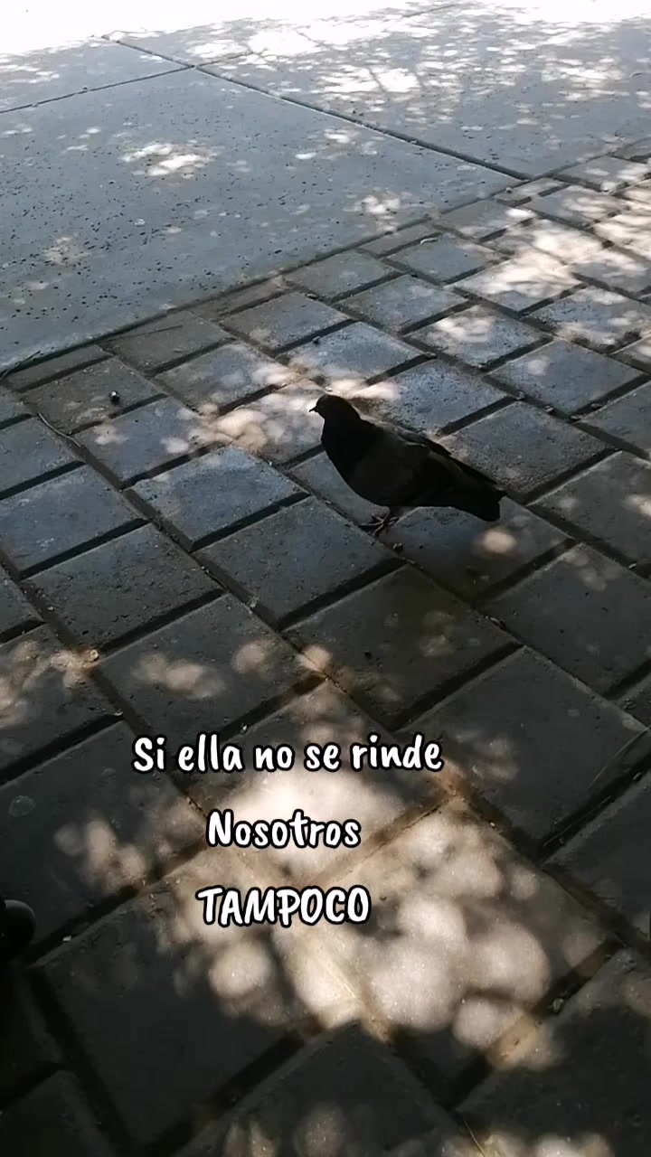 @Lorena Leal