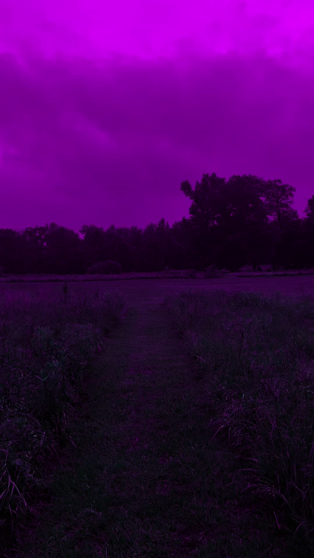 @DarkSpaces