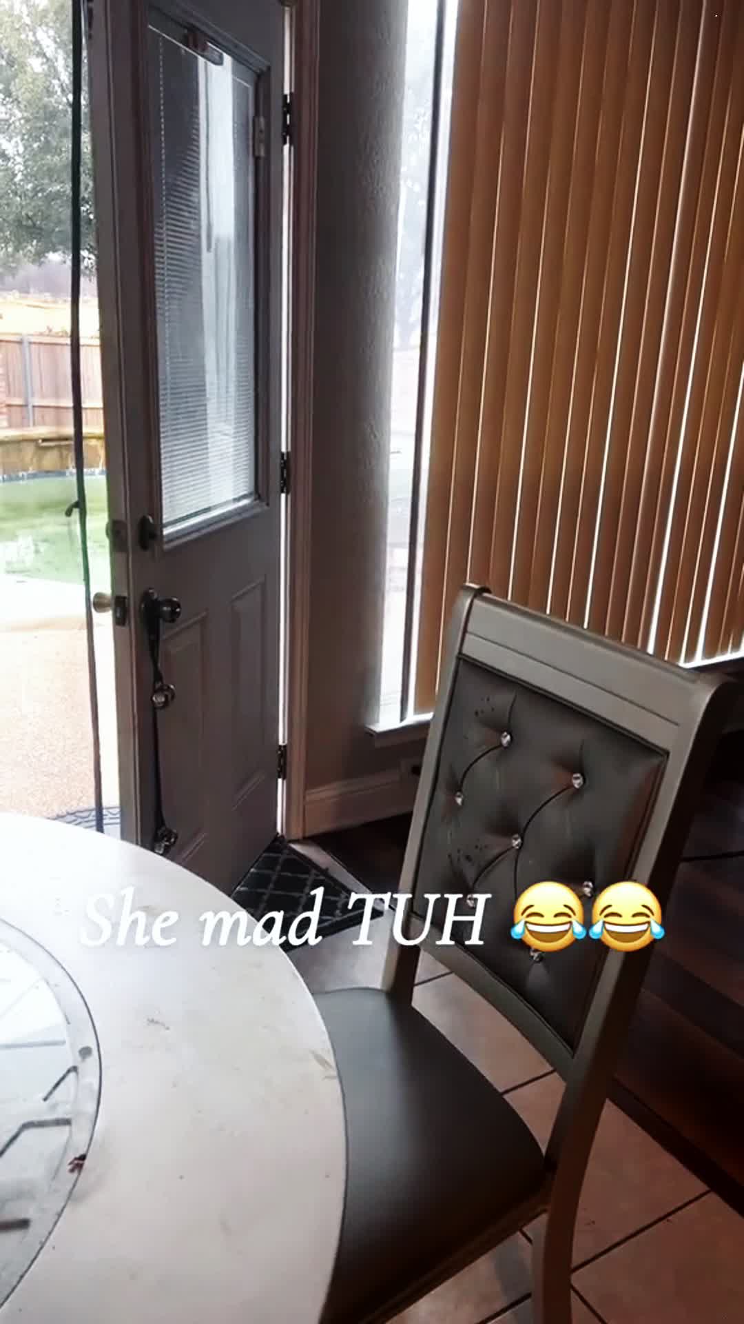 @pet_fnnytimes666