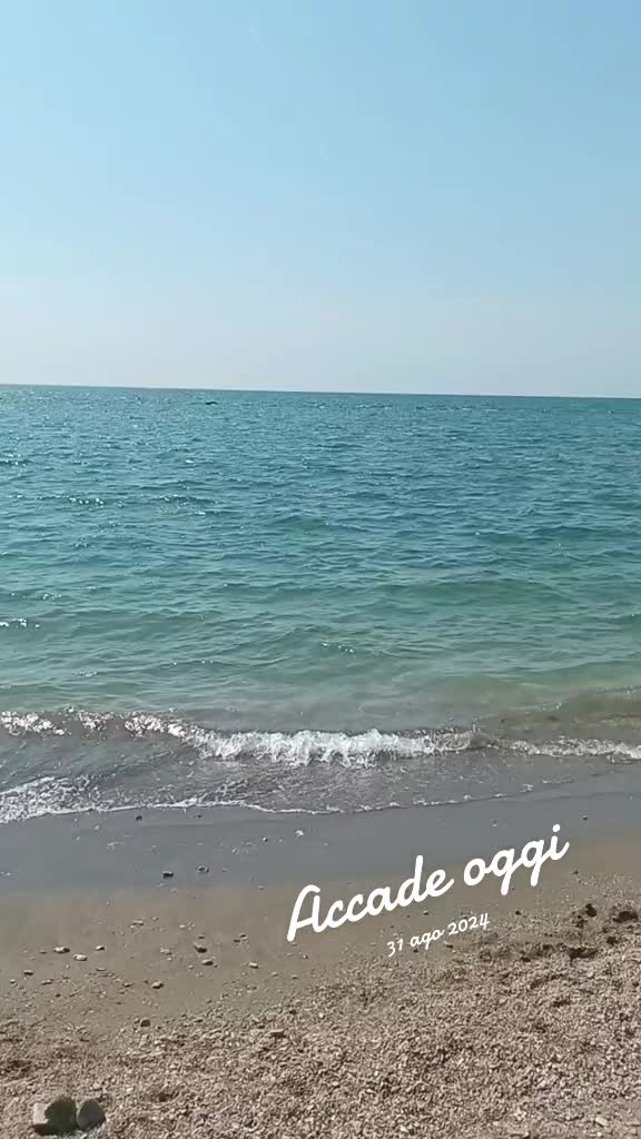@veraveraadzovic
