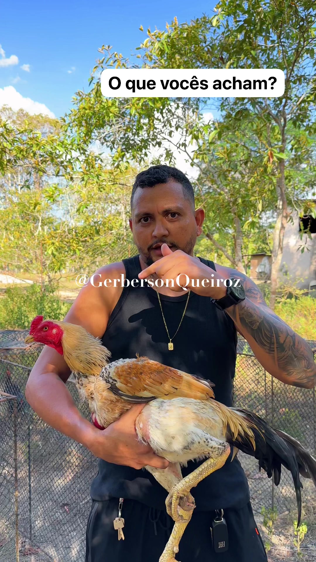 @gerberson.queiroz