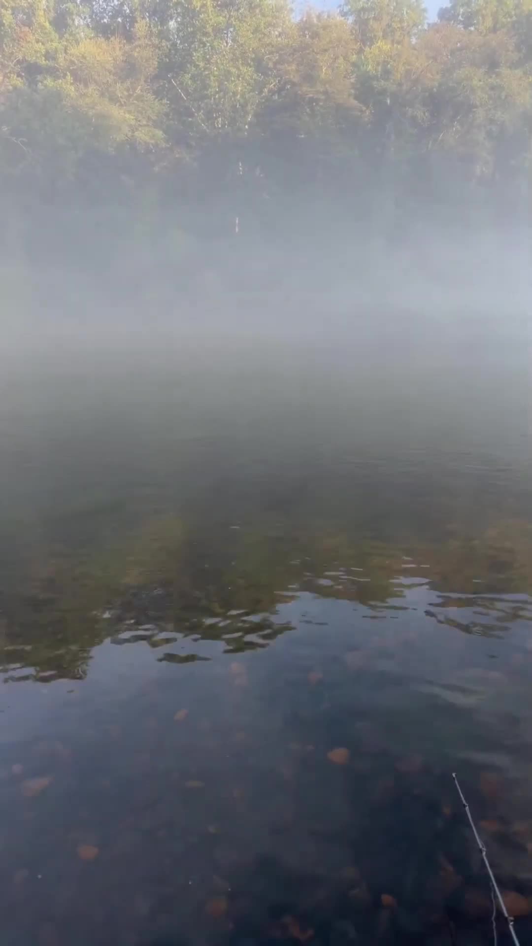 @LOVELACE 🎣