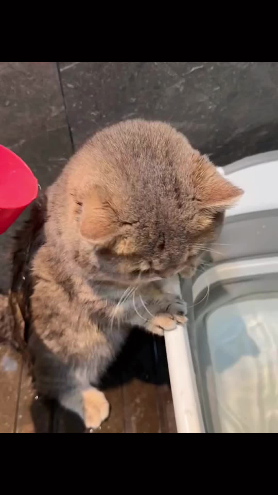 @1+