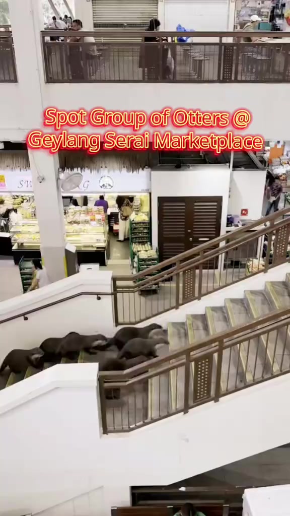 @Dennis Teo