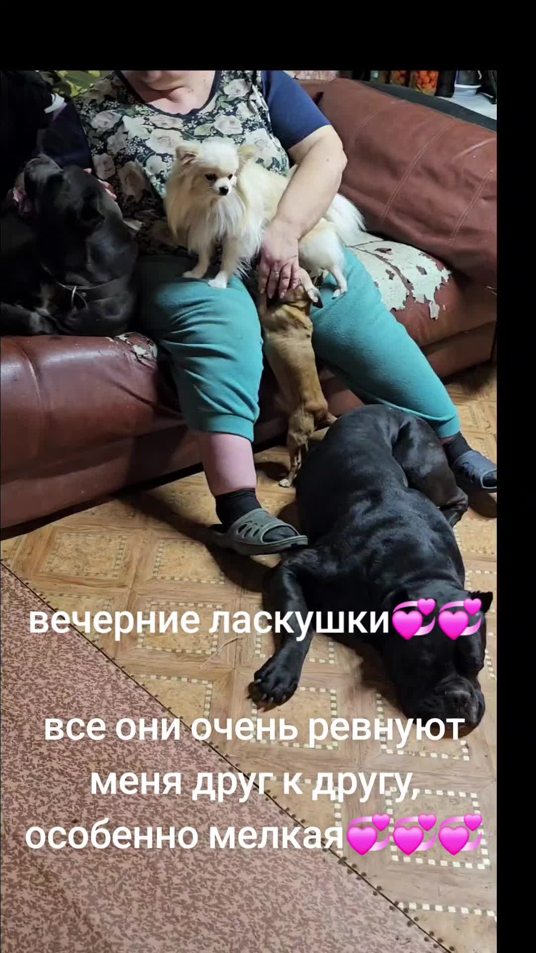 @nerachka