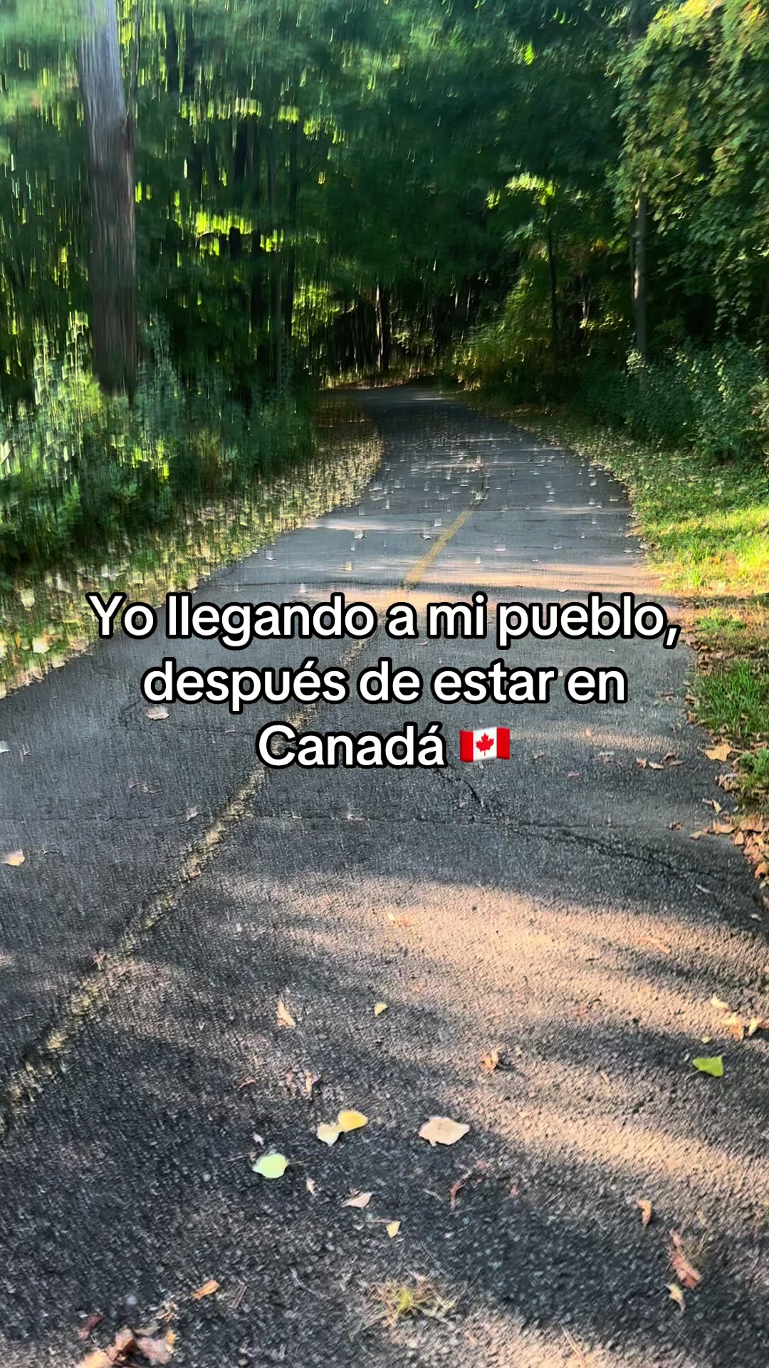 @Bea 💗🇨🇦