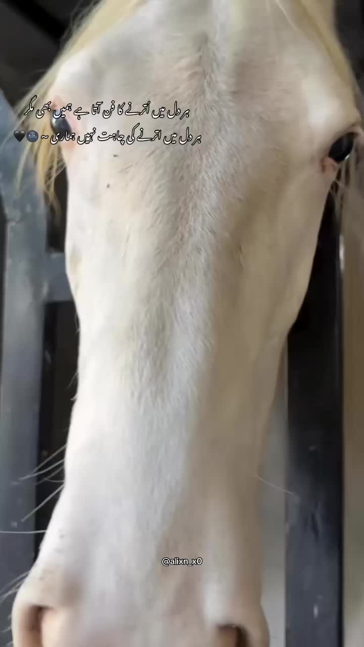 @#Mᵤg𝓱ₐᄂ ₐₑ𝚝𝓱ₑ𝘴𝓱ₐᗰ❤️😘