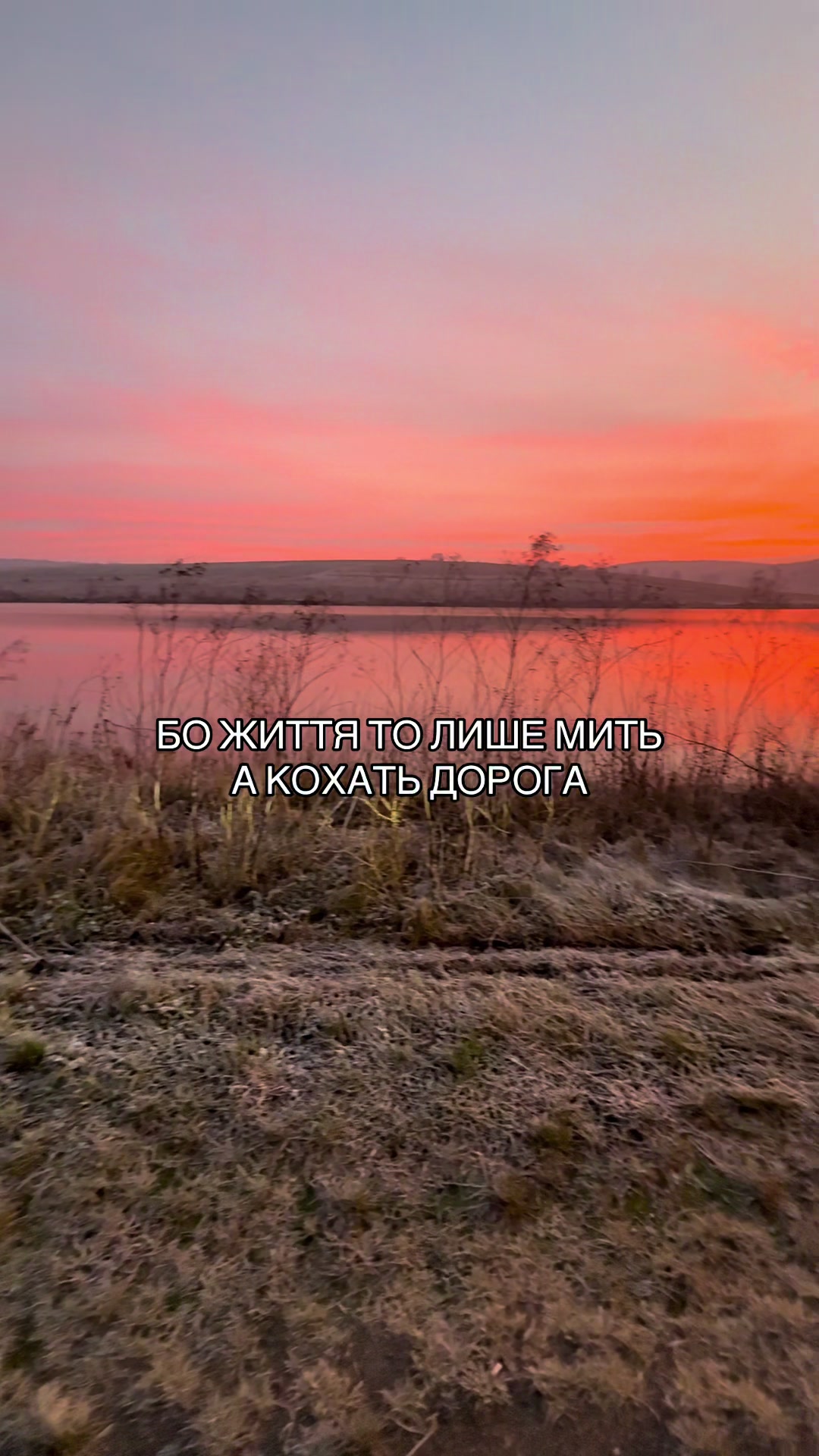 @Андрій🦁🐗