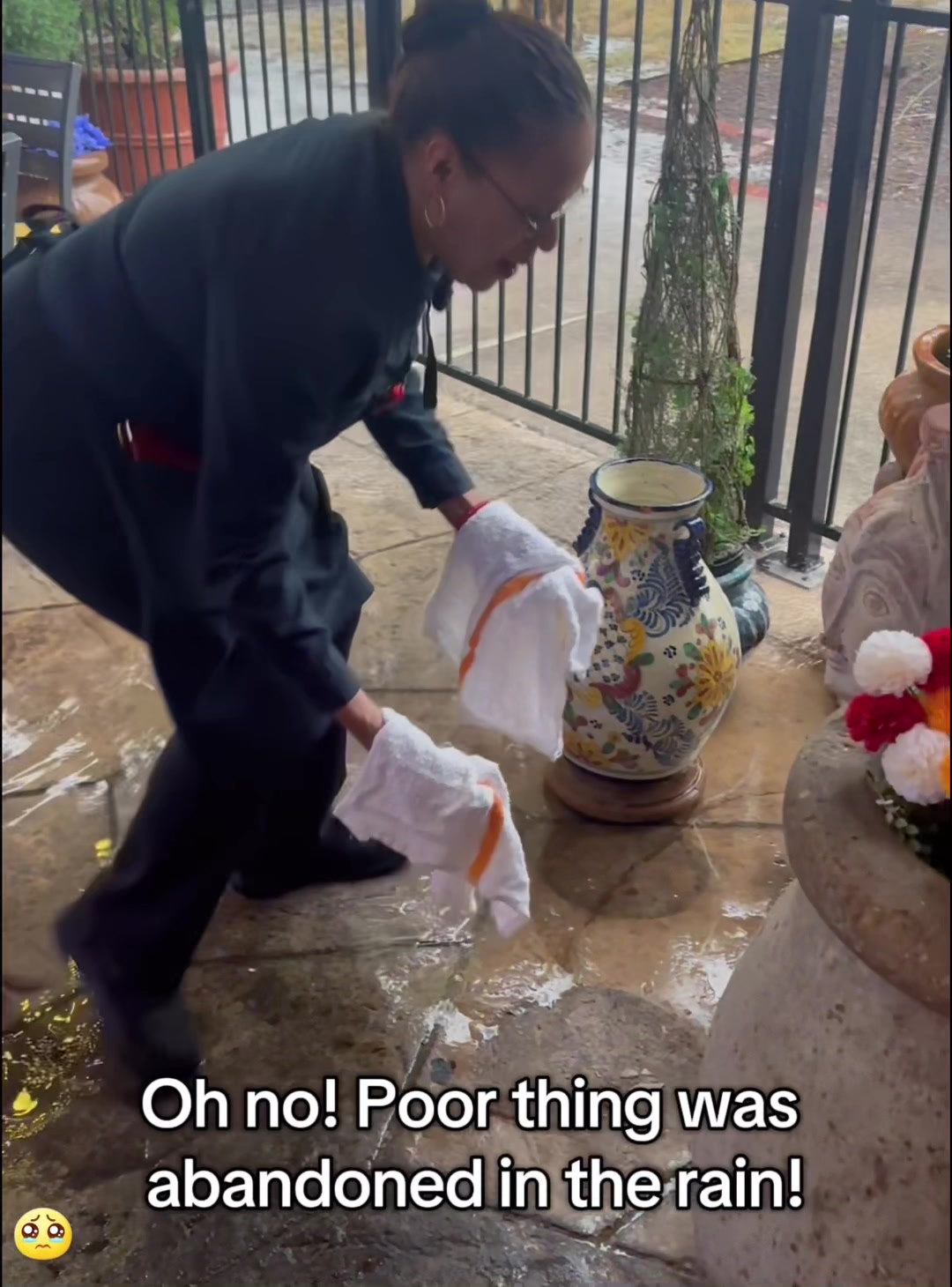 @Pudding Pets