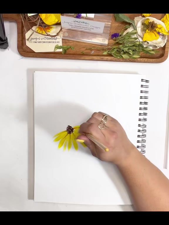 @Juniper Watercolors
