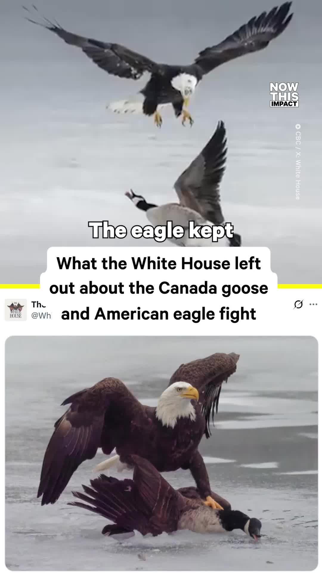 @NowThis Impact