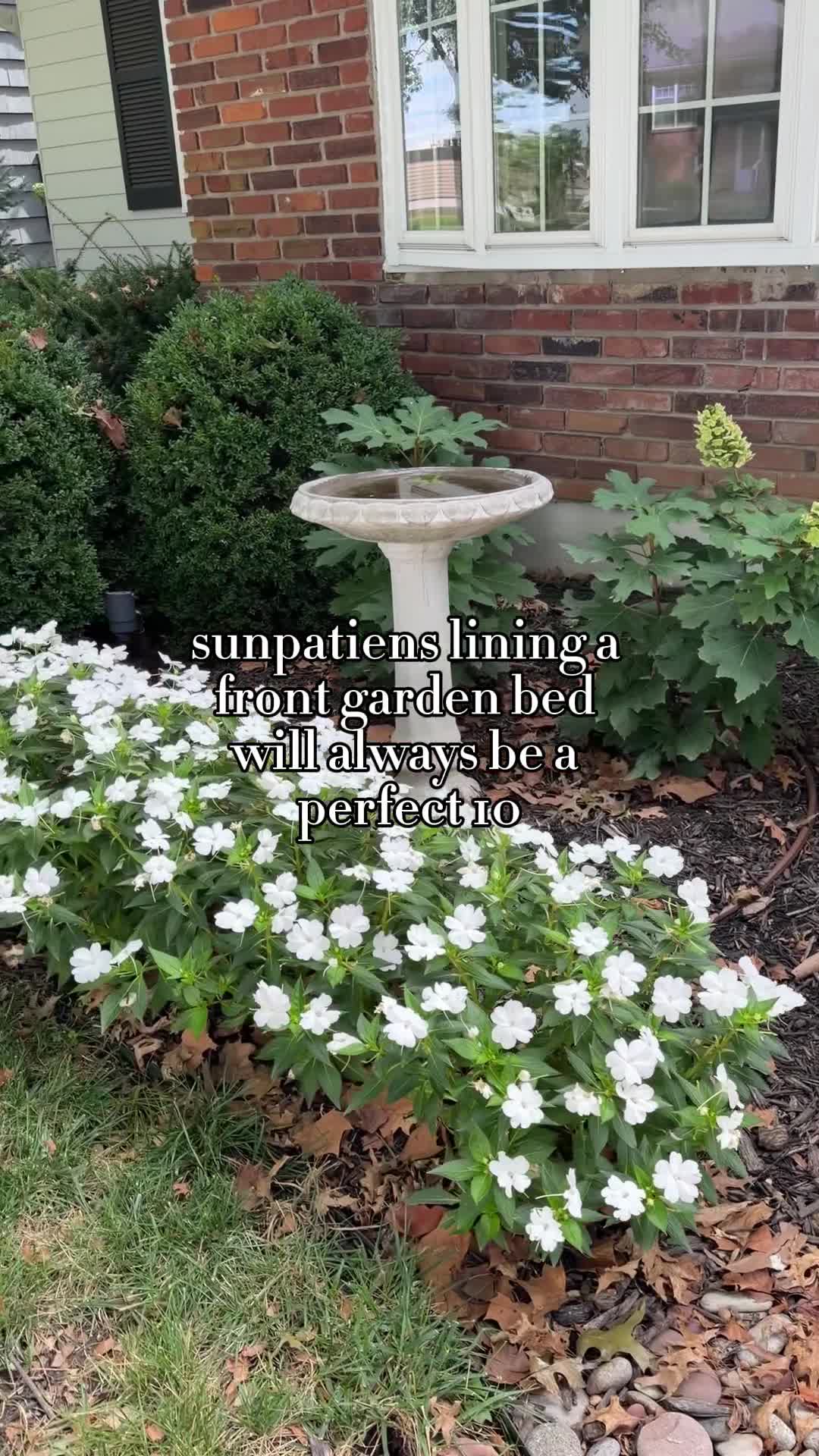@Landscape_by_Lauren 🌱