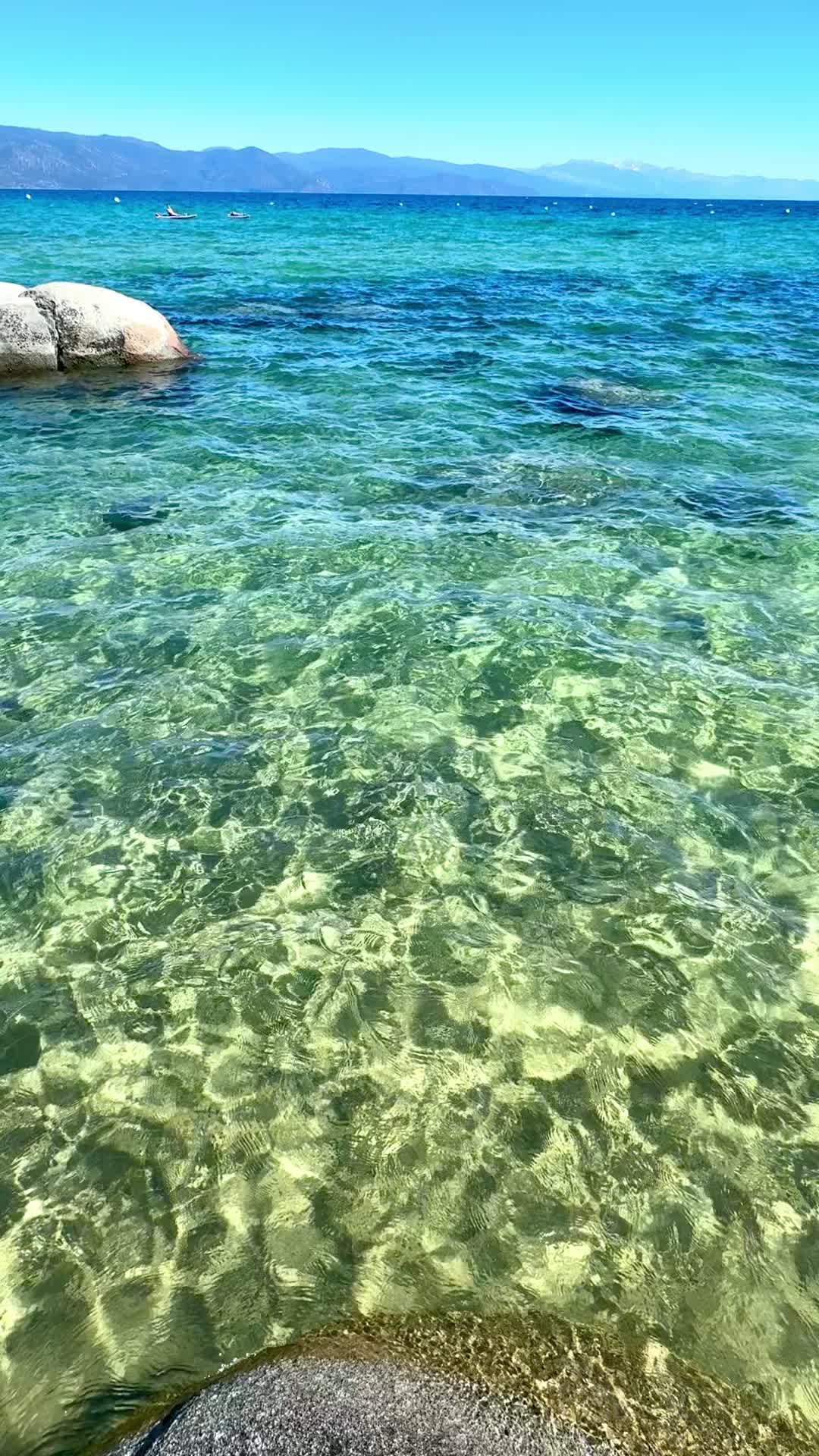 @Alejandra