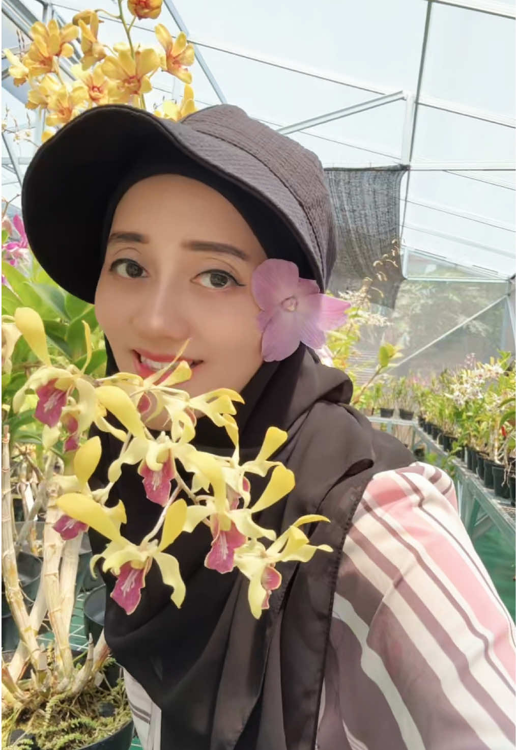 @Anggina Orchid