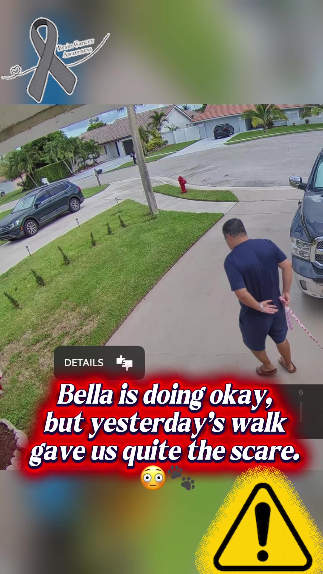 @BelDotLey