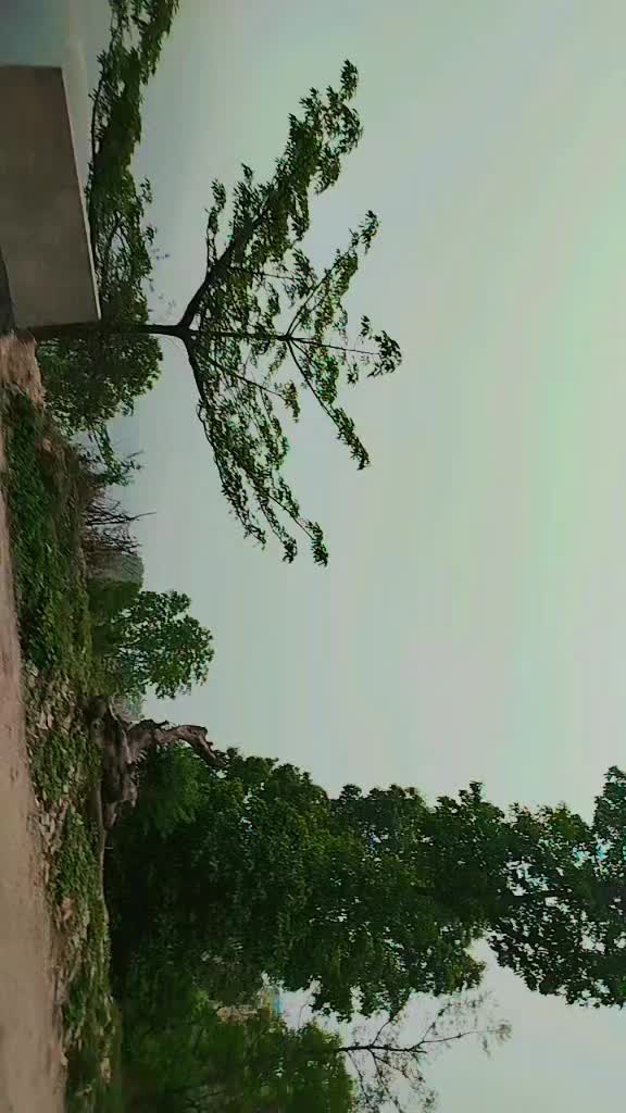 @RanjitaG