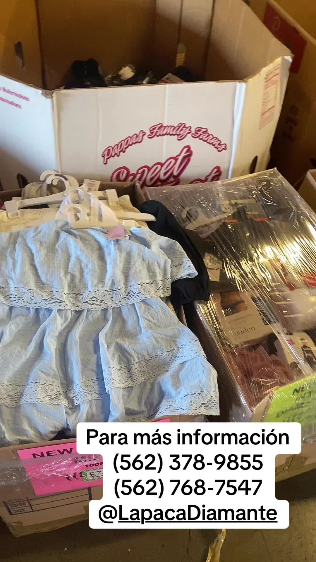 @LAPACA Diamante wholesale