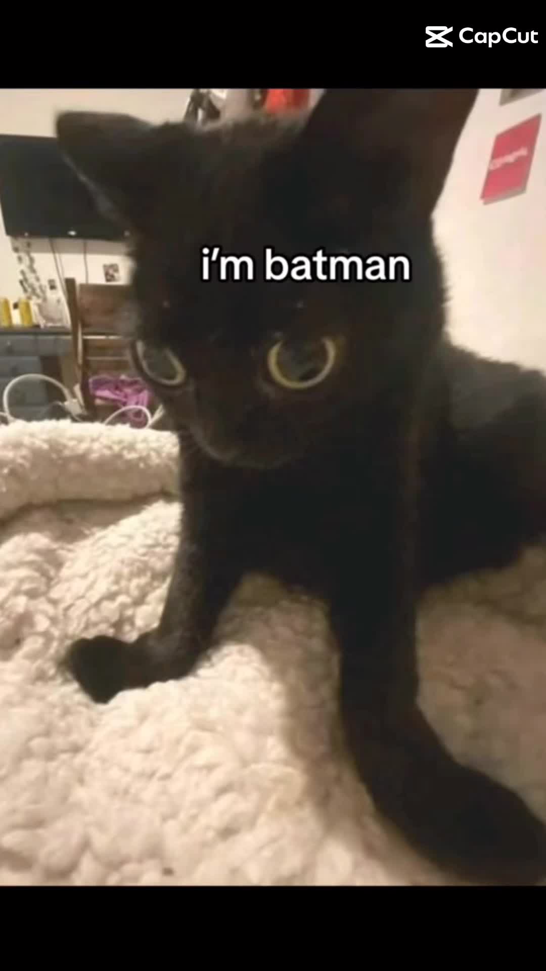 @meme_man