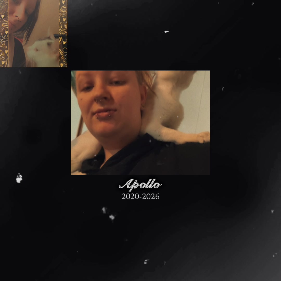 @xxheartless19xx
