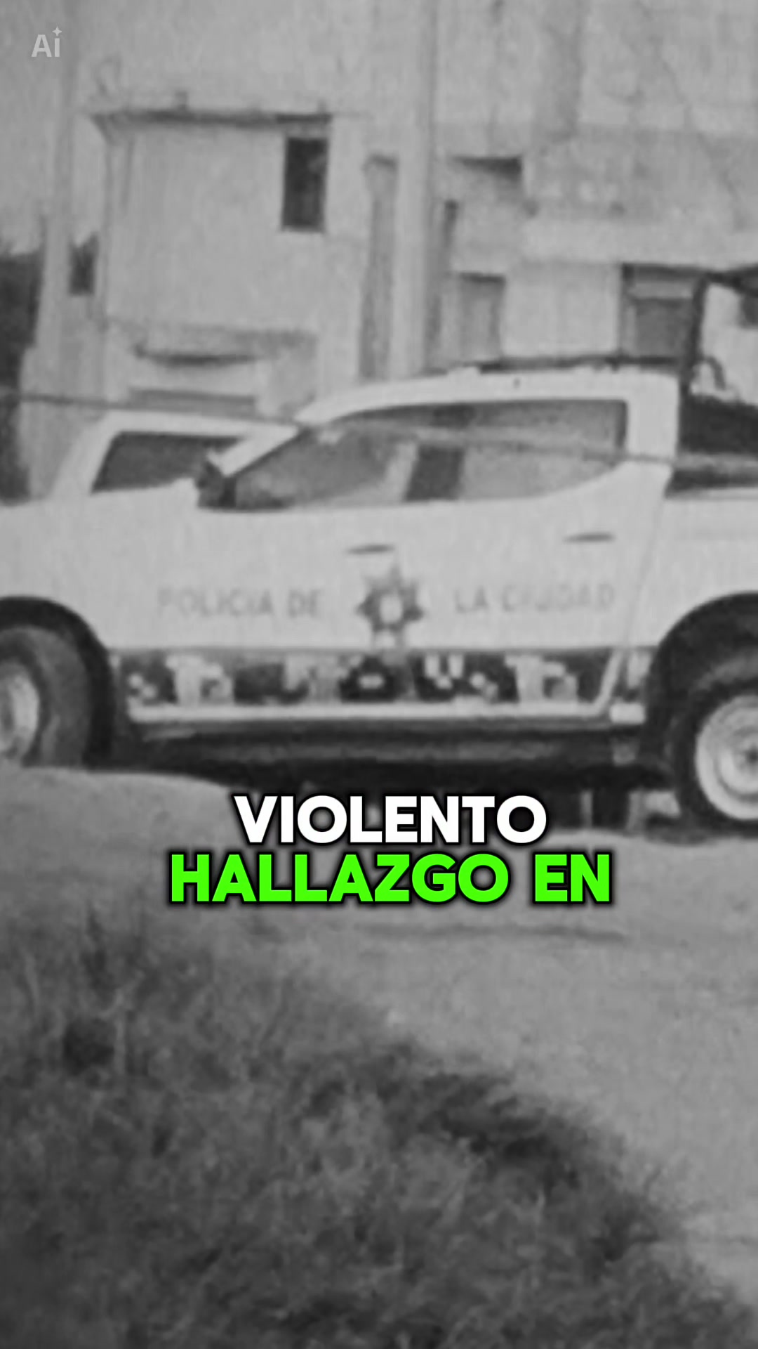 @Puebla en Linea
