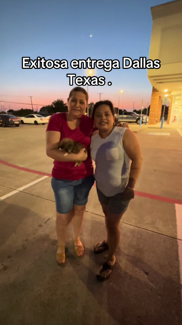 @Brenda Munoz