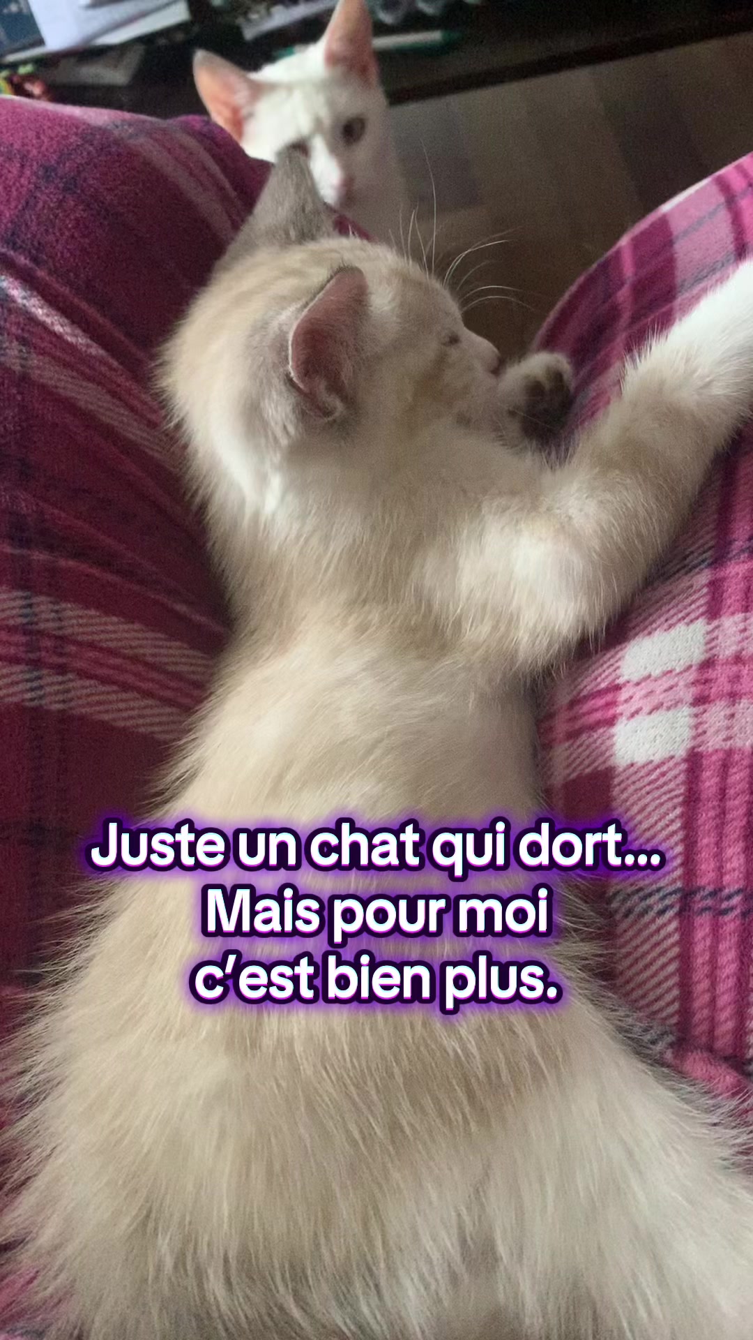 @Marlène