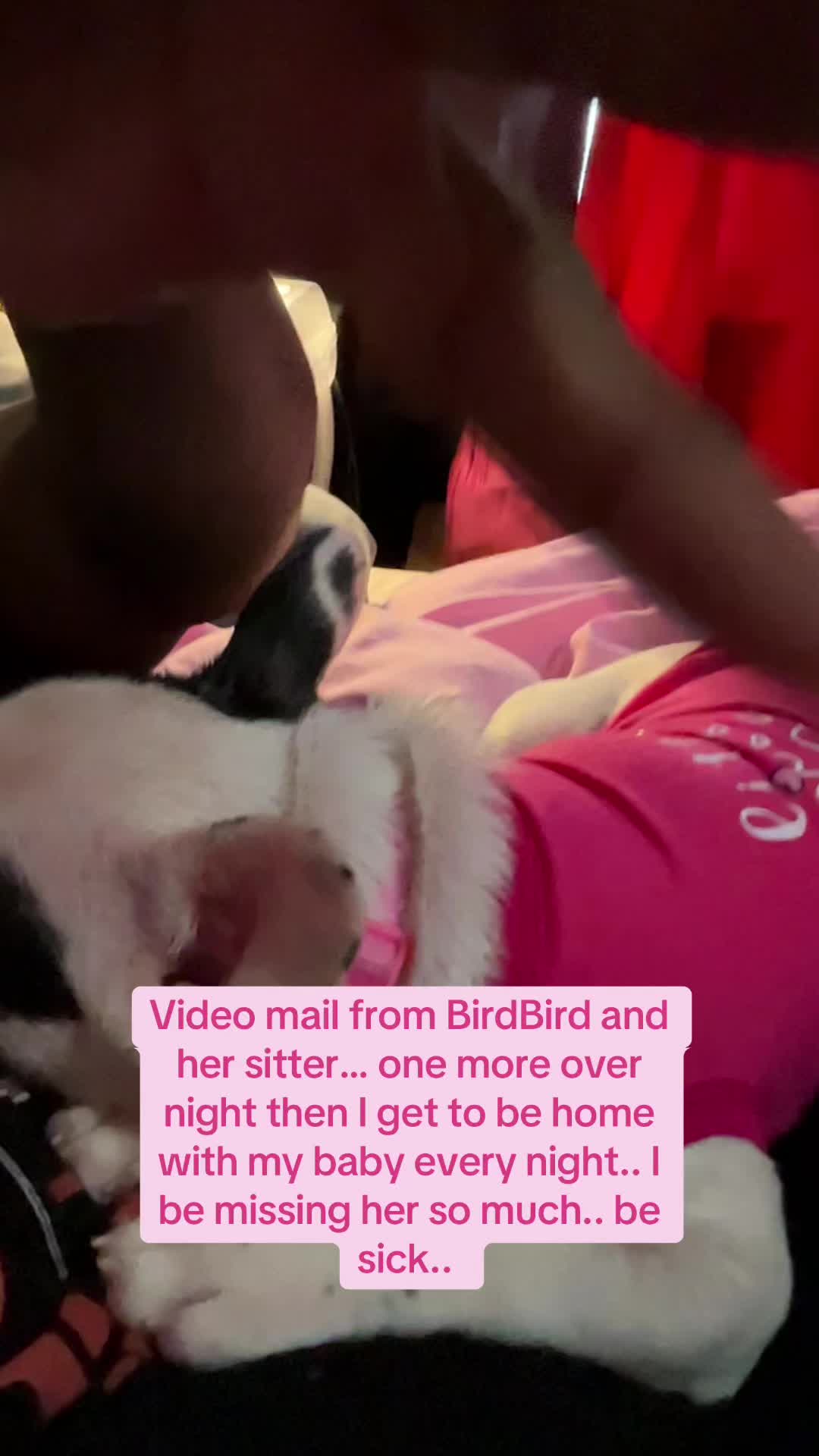 @MrsIrriplaceable4358🥖