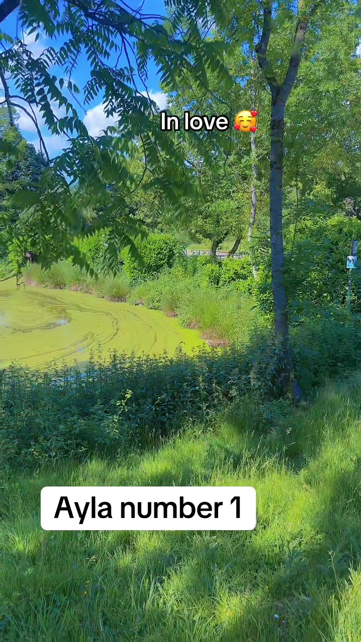 @aylanumber1🐆
