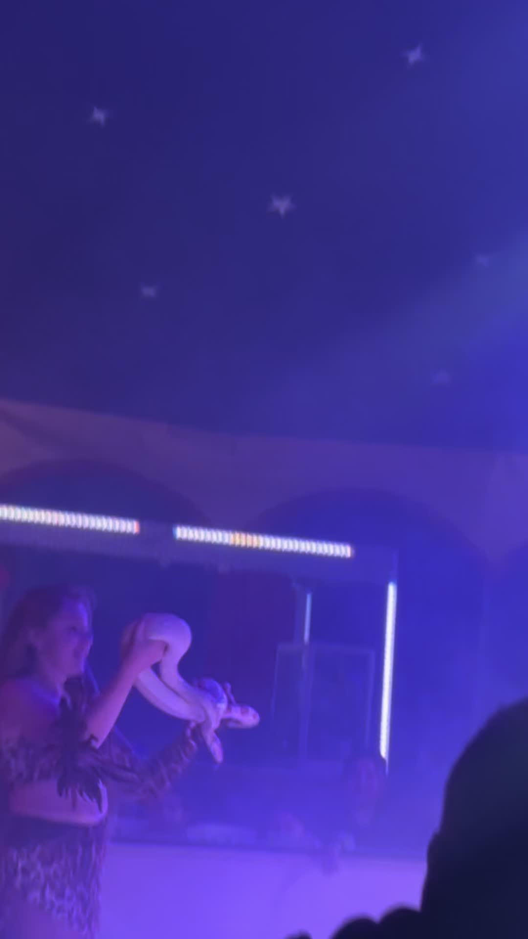 @teamlidialissy