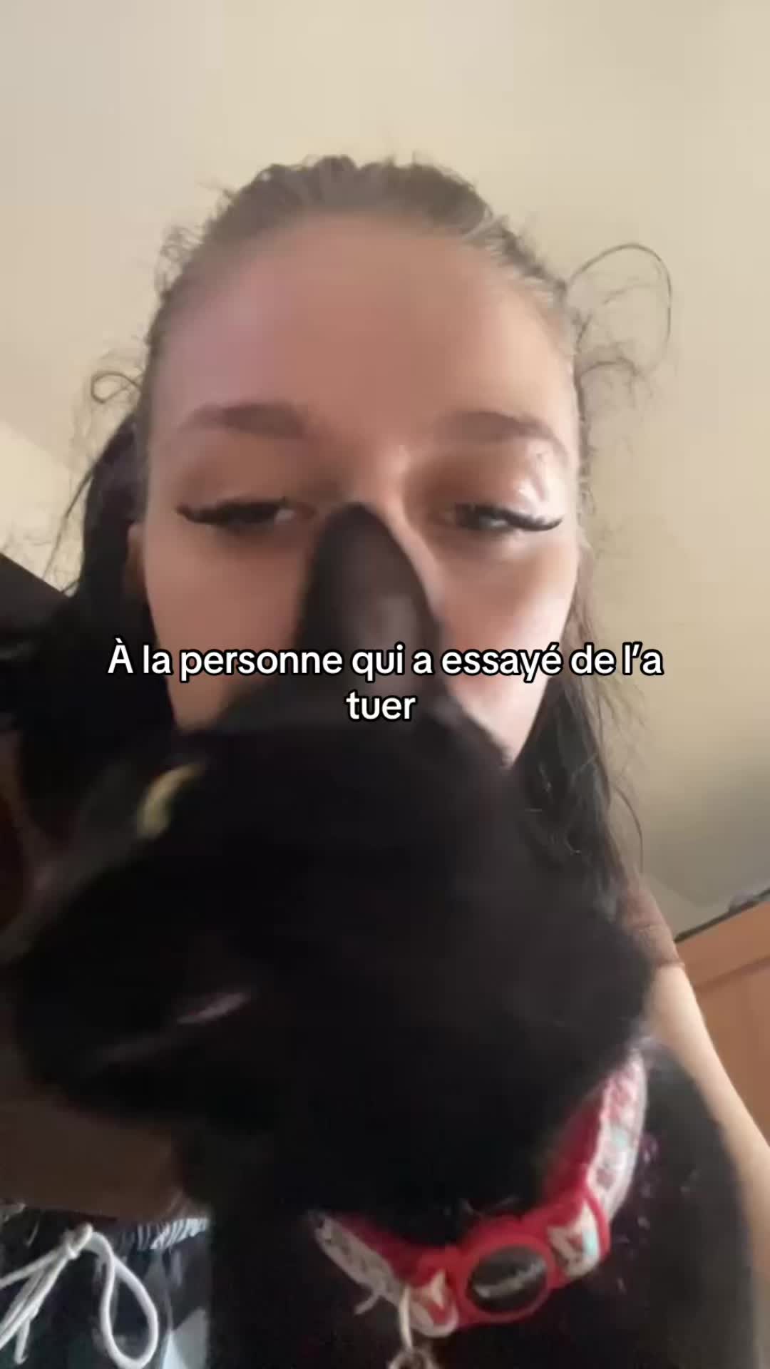 @🇹🇳🇮🇹