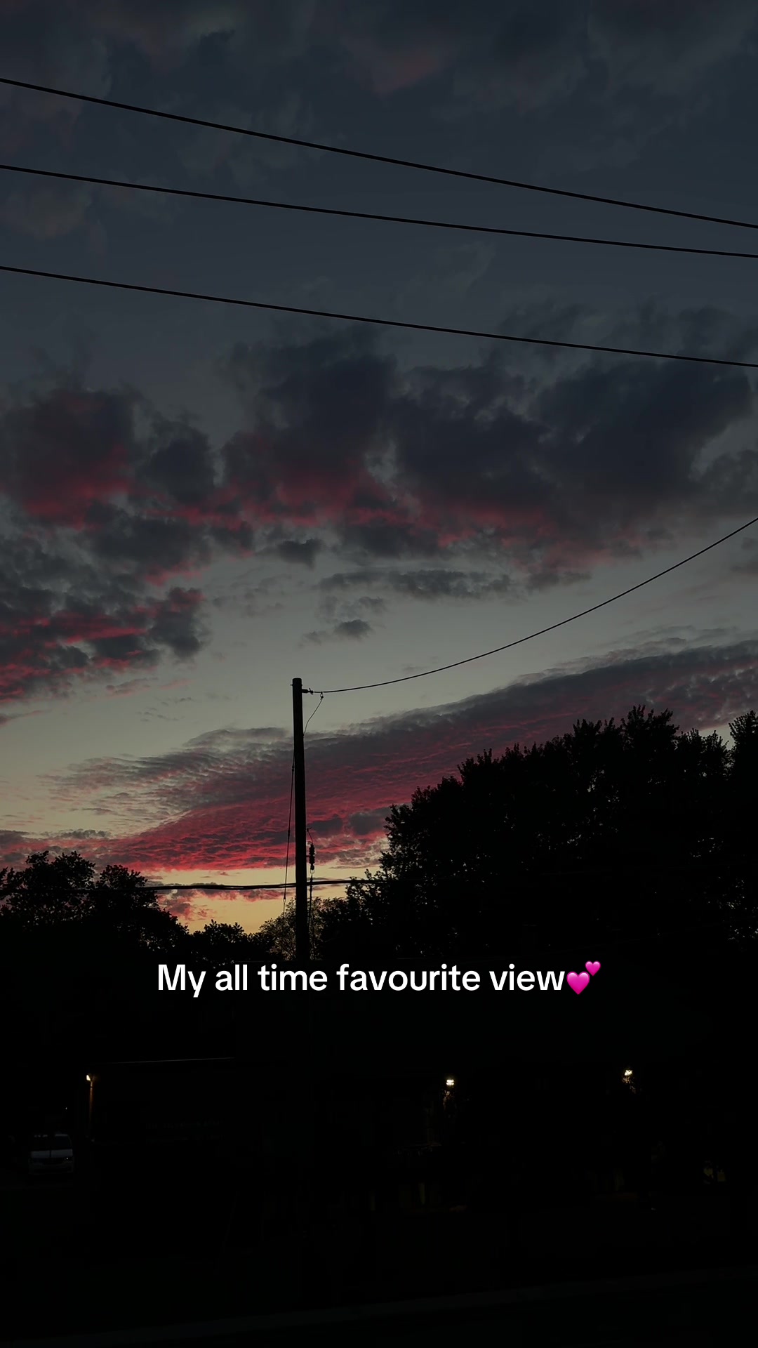 @✨SAB✨