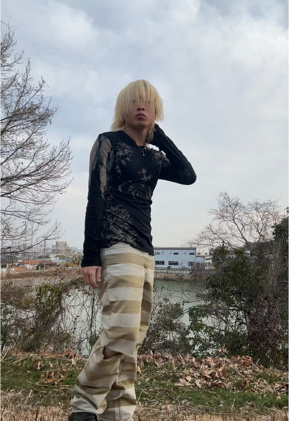@菊
