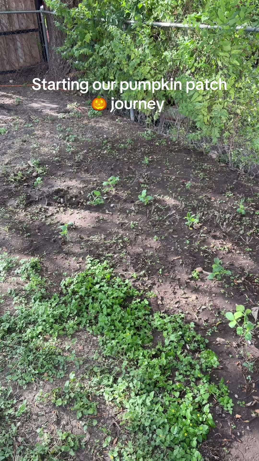 @Gvbby97