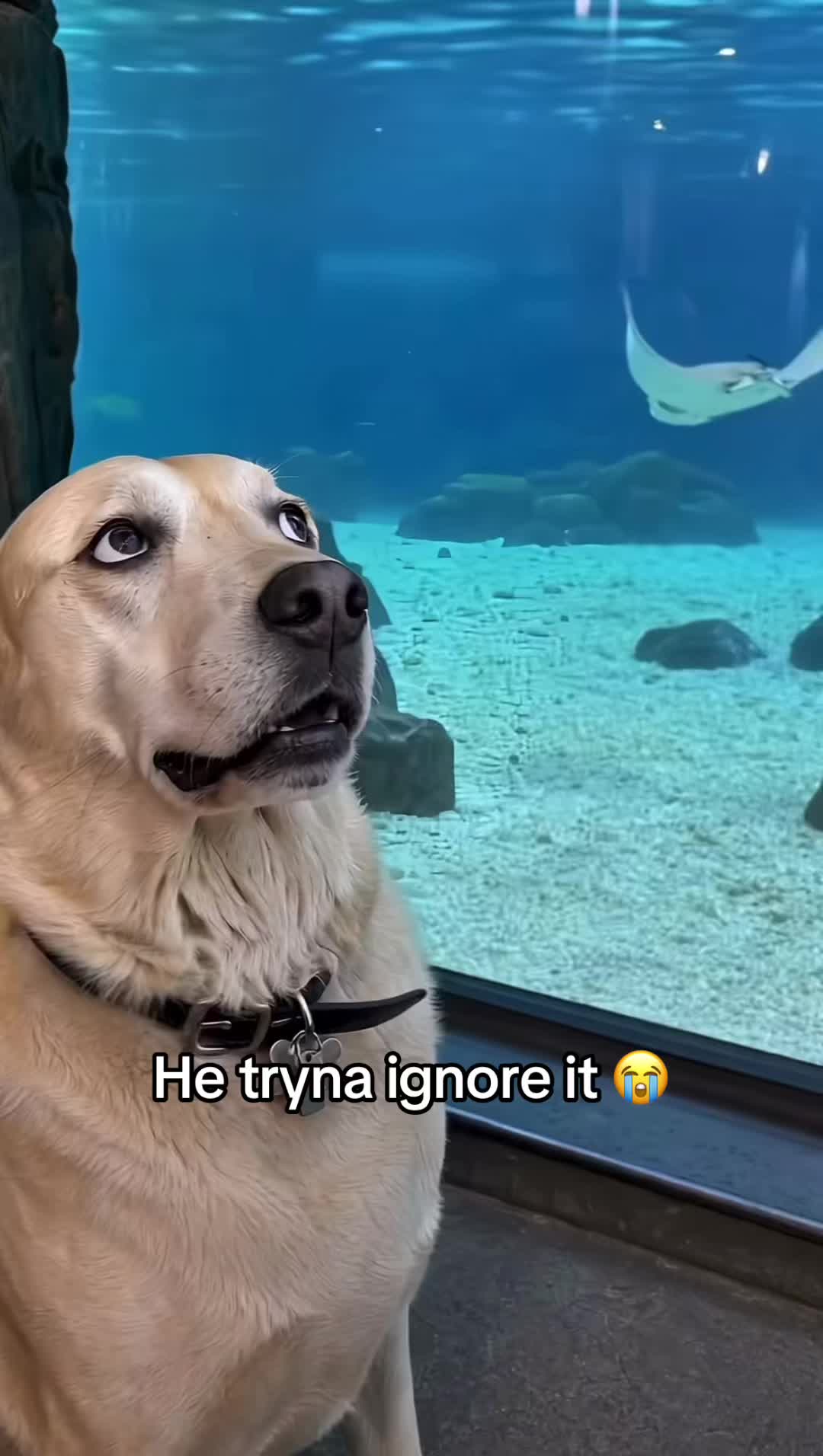 @Tim