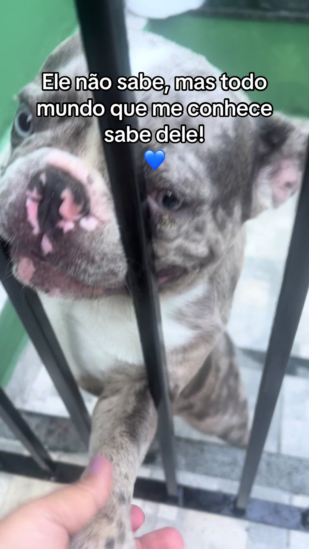 @Mariana
