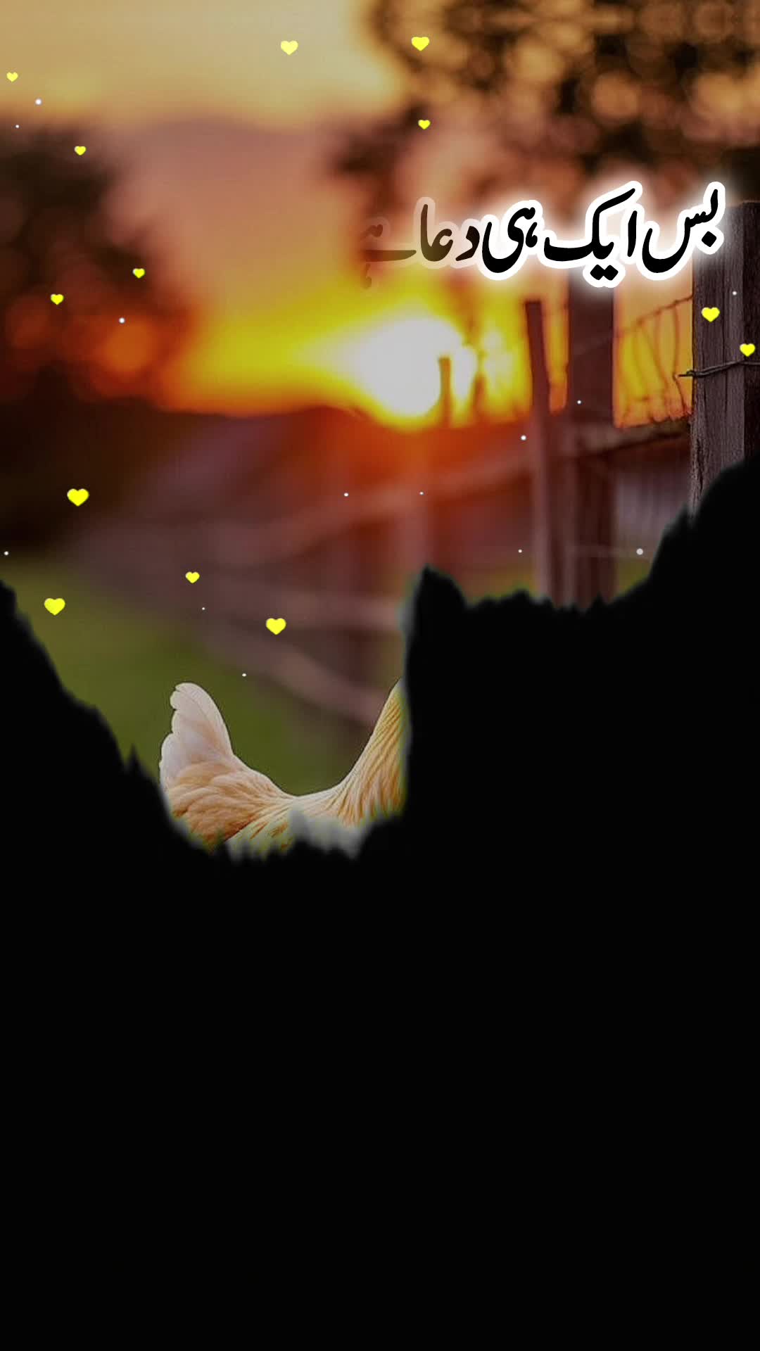 @❤️سزائے عشق😭