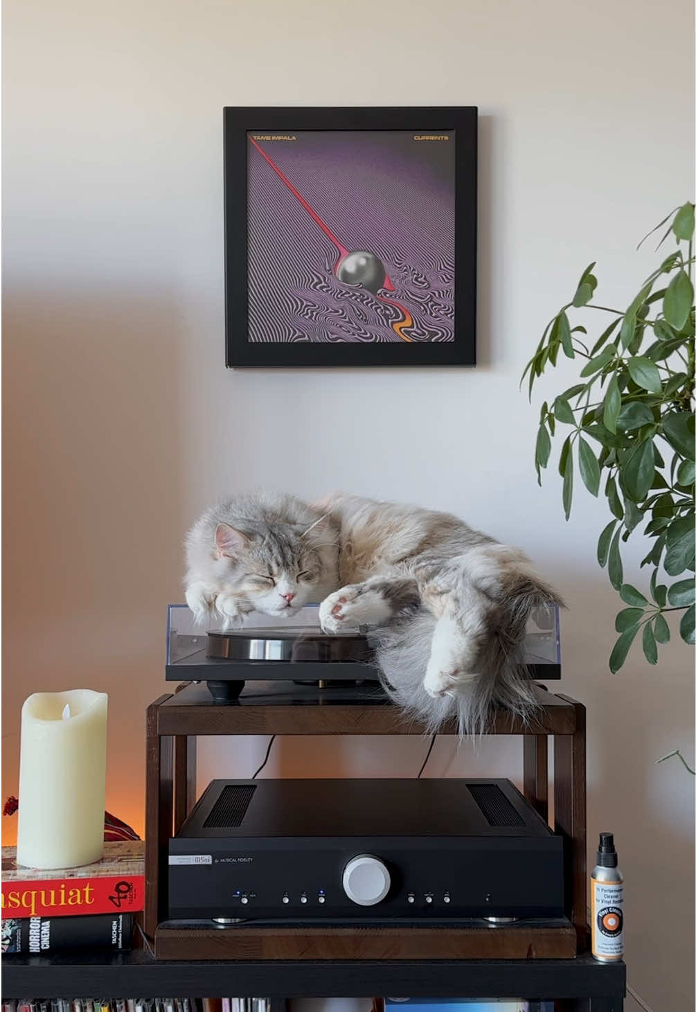@Leon The Vinyl Cat