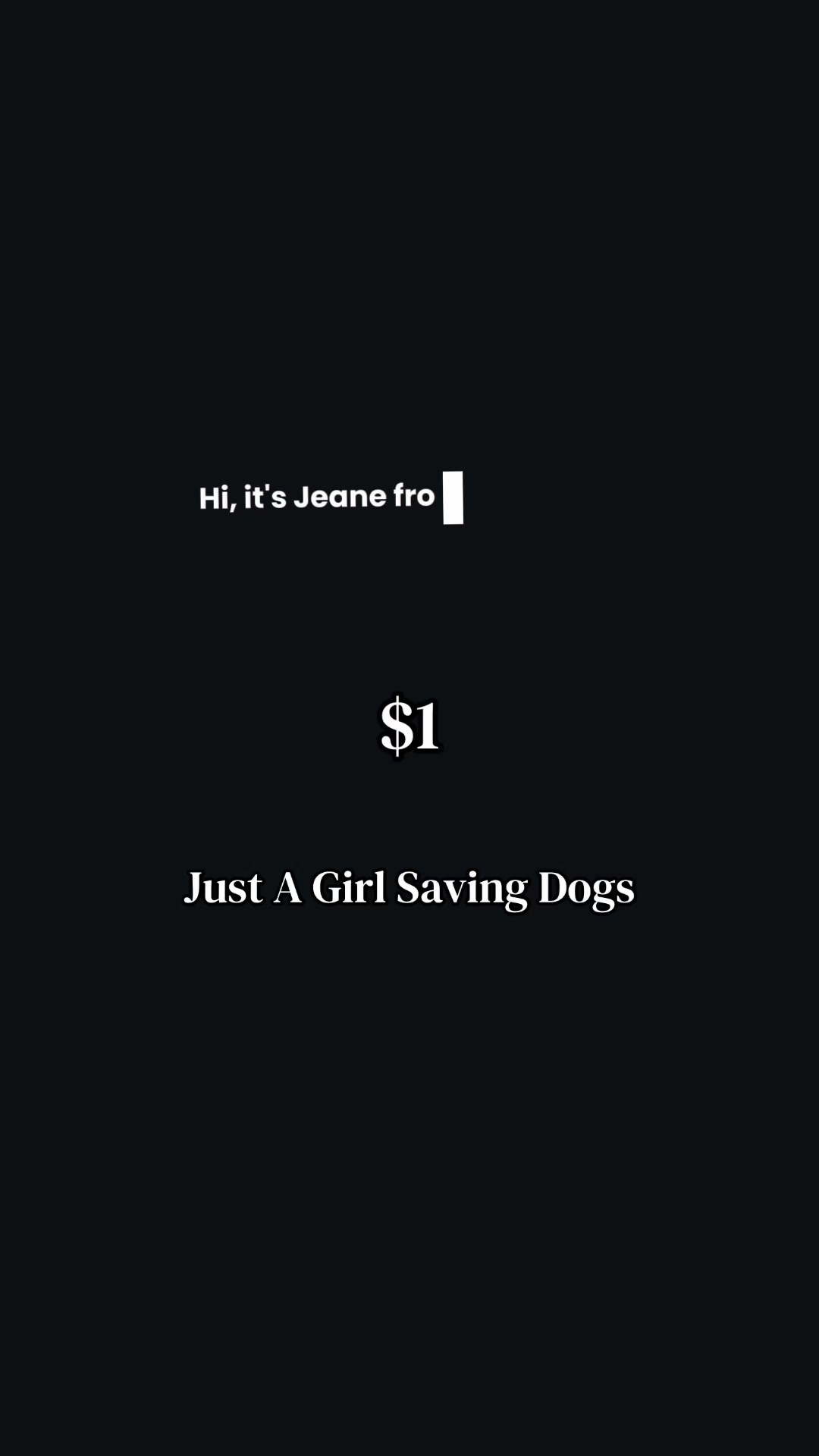@Just A Girl Saving Dogs
