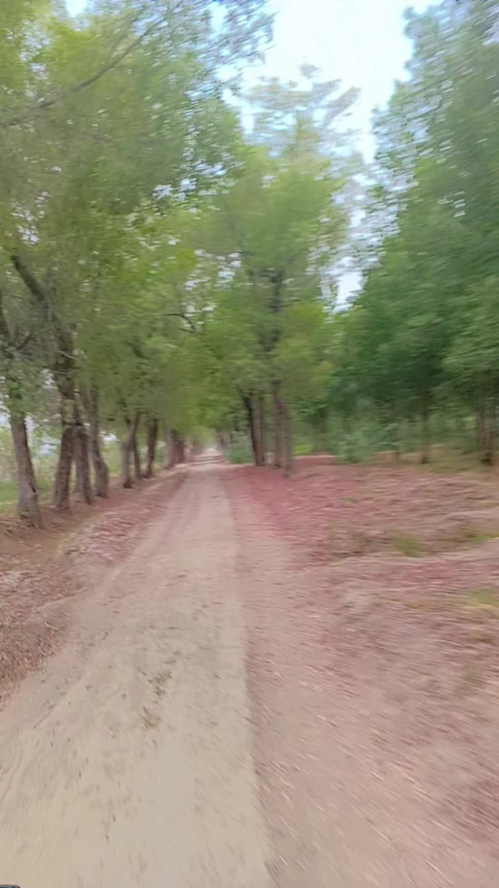 @noreenss3