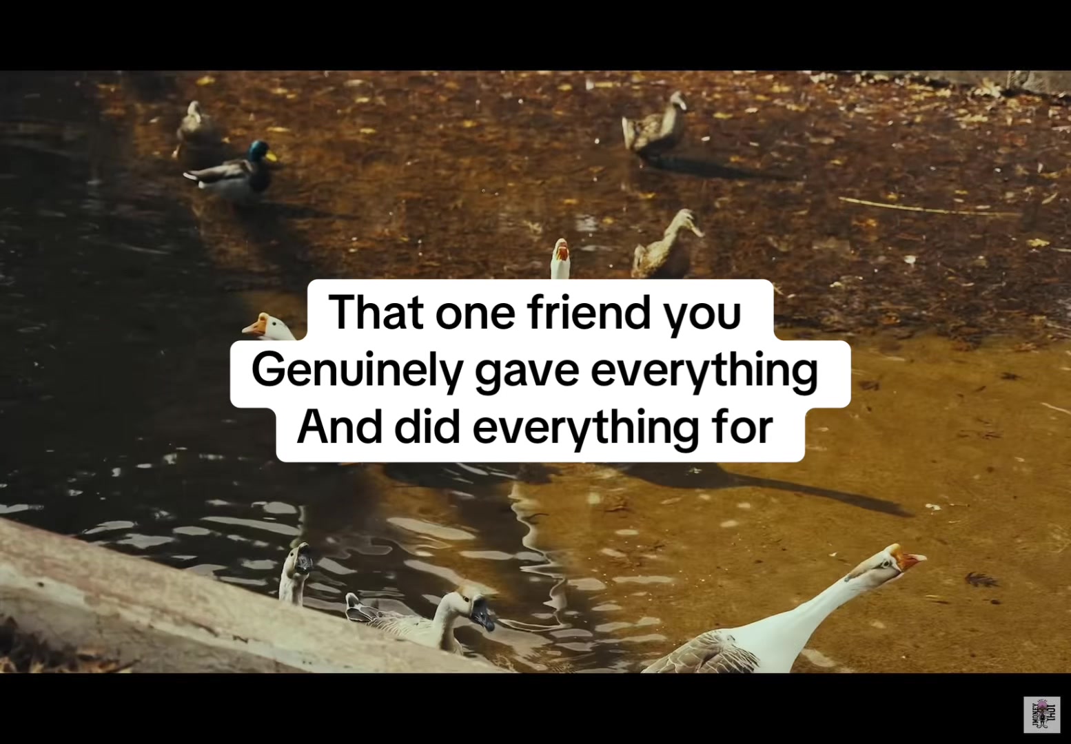 @🎵XaiThefrankiest(I promise)🎵