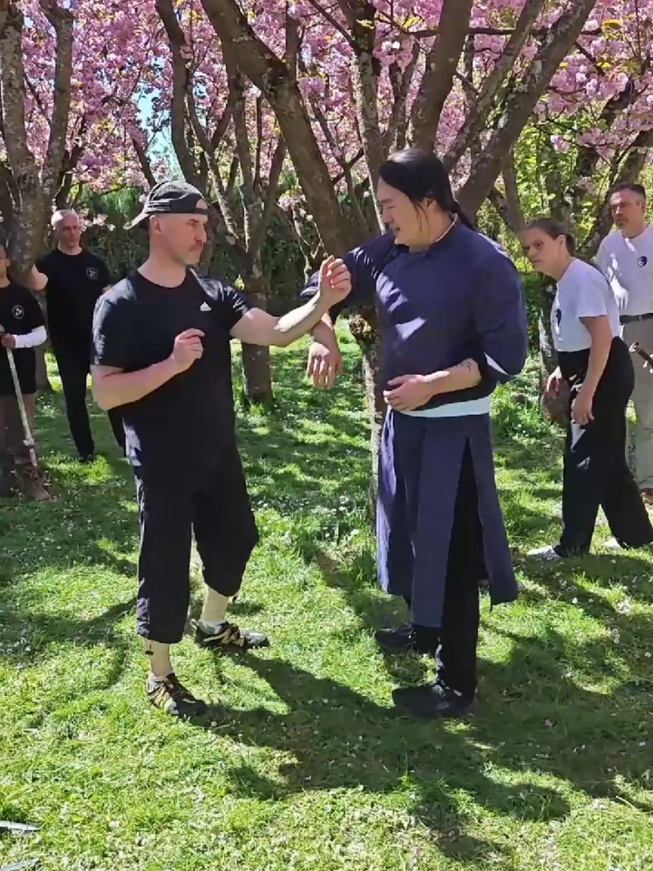 @TaiChi_Wingchun_PF
