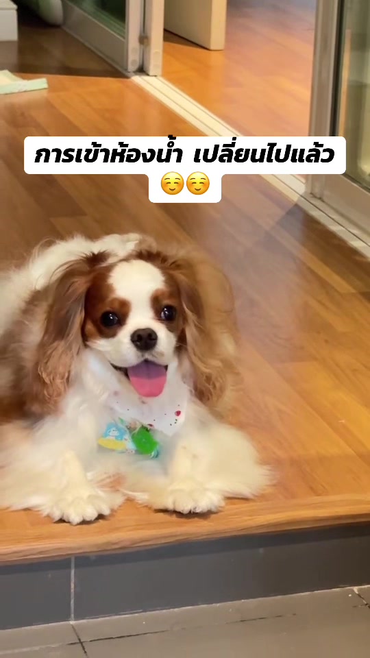 @frankgoodboyผมเองครับ
