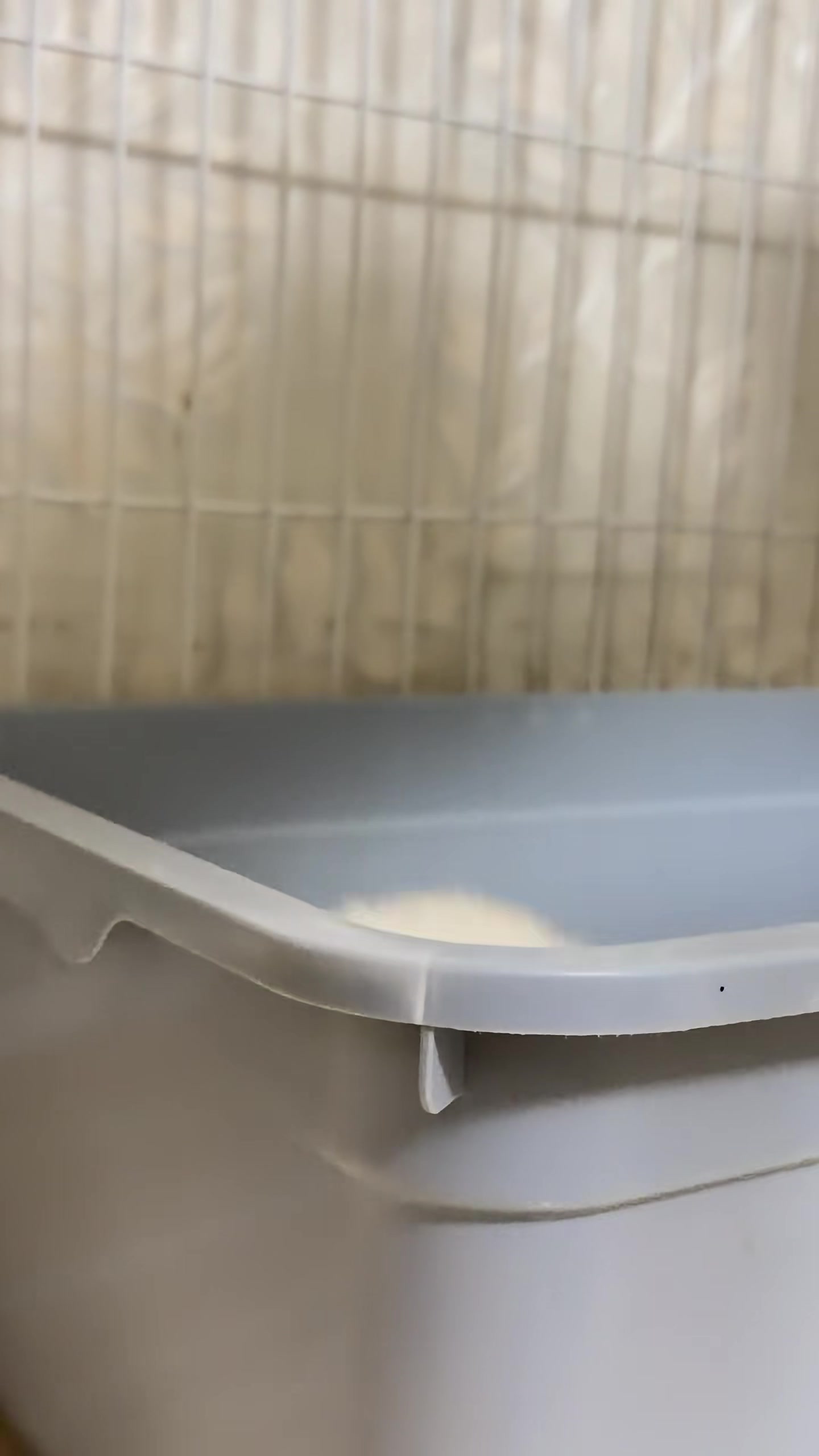 @EuropaKätzchen