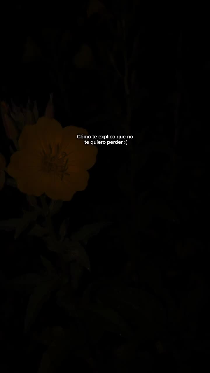 @🥀Marvin Israel 🪫💔